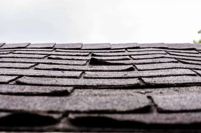 Roof Shingles Curling